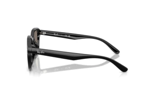 Sidevisning Ray-Ban RB4458D (601/6V)