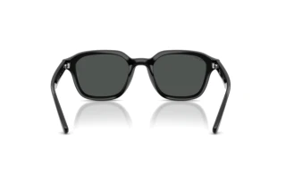 Bagside Ray-Ban RB4458D (601/87)