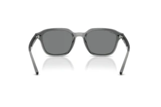 Bagside Ray-Ban RB4458D (645087)