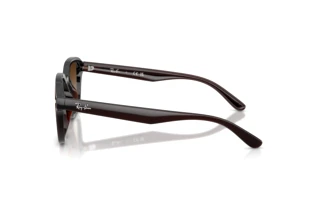 Sidevisning Ray-Ban RB4458D (714/13)