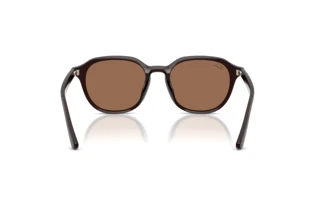 Bagside Ray-Ban RB4459D (623173)
