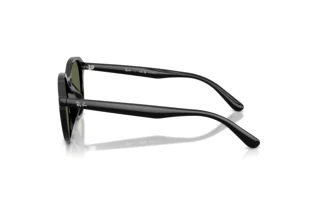 Sidevisning Ray-Ban RB4459D (901/9A)