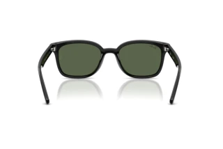 Bagside Ray-Ban RB4461D (601/71)