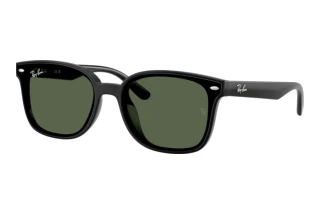 Forfra Ray-Ban RB4461D (601/71)