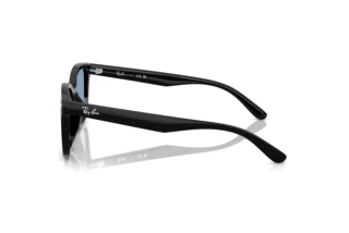 Sidevisning Ray-Ban RB4461D (601/80)