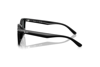 Sidevisning Ray-Ban RB4461D (601/87)