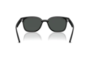 Bagside Ray-Ban RB4461D (601/87)