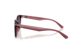 Sidevisning Ray-Ban RB4461D (659373)