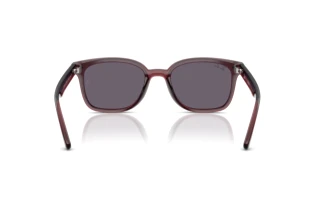 Bagside Ray-Ban RB4461D (659373)