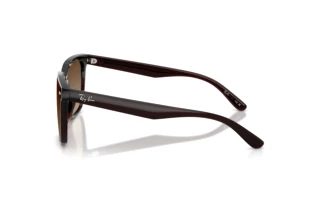 Sidevisning Ray-Ban RB4466D (714/13)