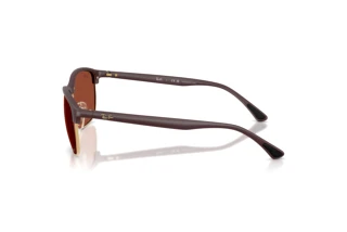 Sidevisning Ray-Ban RB4469 (64451B)