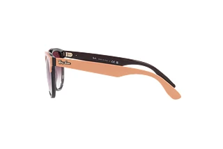 Sidevisning Ray-Ban IRIS (RB4471 - 66338H)