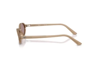 Sidevisning Ray-Ban RB4472 (6891LA)