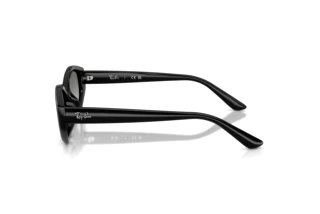 Sidevisning Ray-Ban RB4473D (667711)