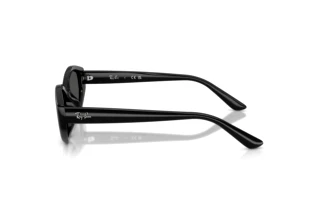 Sidevisning Ray-Ban RB4473D (667787)