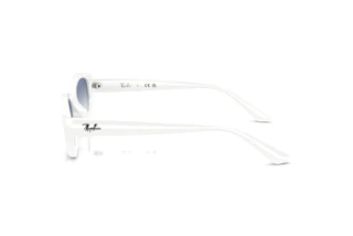 Sidevisning Ray-Ban RB4473D (677219)