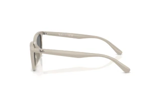 Sidevisning Ray-Ban RB4474D (685887)