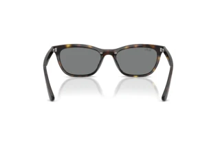 Bagside Ray-Ban RB4474D (710/87)