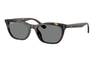 Forfra Ray-Ban RB4474D (710/87)