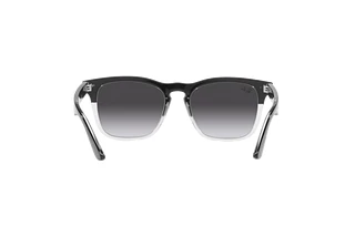 Bagside Ray-Ban STEVE (RB4487 - 66308G)