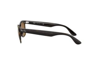 Sidevisning Ray-Ban RB4640 (710/33)