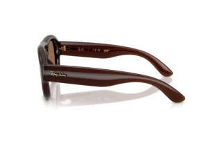 Sidevisning Ray-Ban RB4925 (689673)