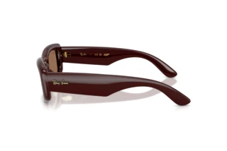 Sidevisning Ray-Ban RB4944 (687773)