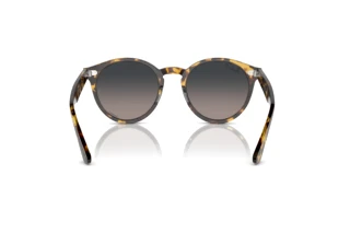 Bagside Ray-Ban LARRY (RB7680S - 1332GL)