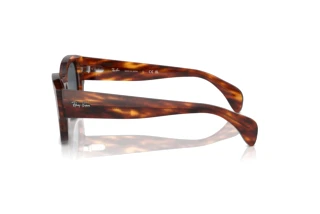 Sidevisning Ray-Ban JORGE (RB7681S - 954/R5)