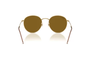 Bagside Ray-Ban ROUND REVERSE (RBR0103S - 001/83)