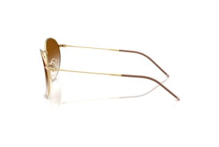 Sidevisning Ray-Ban ROUND REVERSE (RBR0103S - 001/CB)