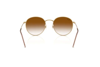 Bagside Ray-Ban ROUND REVERSE (RBR0103S - 001/CB)