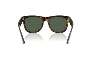 Bagside Ray-Ban WAYFARER REVERSE (RBR0502S - 6790VR)