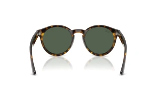 Bagside Ray-Ban RBR0505S (6790VR)