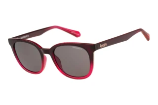 Superdry SD 996092 35