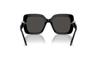 Bagside Swarovski SK6001 (100187)