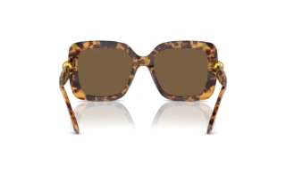 Bagside Swarovski SK6001 (104073)