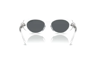 Bagside Swarovski SK6002 (102787)