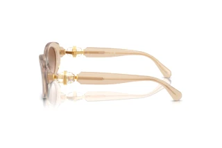 Sidevisning Swarovski SK6002 (103413)