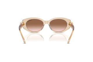 Bagside Swarovski SK6002 (103413)