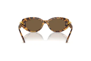 Bagside Swarovski SK6002 (104073)