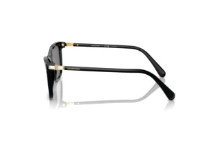 Sidevisning Swarovski SK6004 (100181)