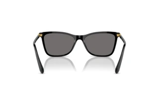 Bagside Swarovski SK6004 (100181)