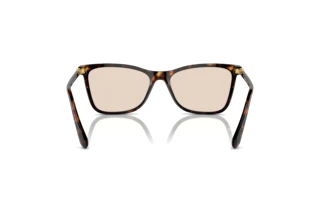 Bagside Swarovski SK6004 (1002M4)