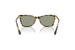 Bagside Swarovski SK6004 (1009/2)