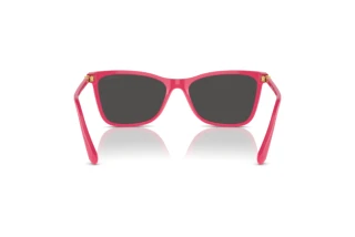 Bagside Swarovski SK6004 (103687)