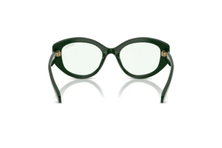 Bagside Swarovski SK6005 (1026M1)