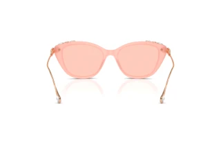 Bagside Swarovski SK6010 (1041/5)