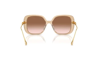 Bagside Swarovski SK6011 (103413)