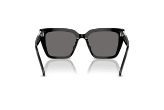 Bagside Swarovski SK6013 (101581)